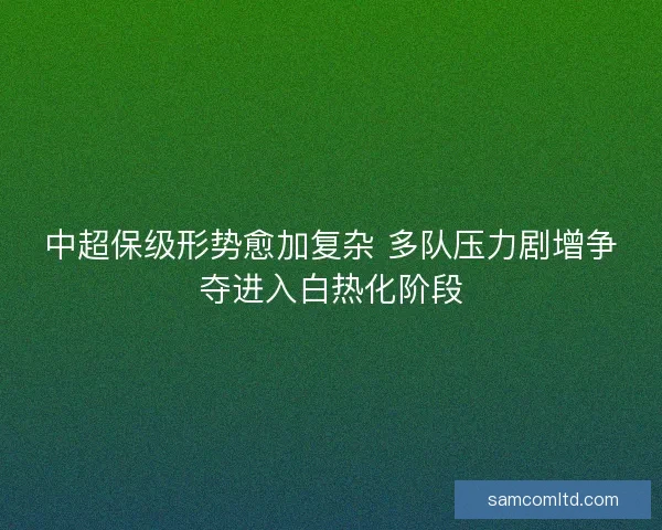 中超保级形势愈加复杂 多队压力剧增争夺进入白热化阶段 中超保级形势愈加复杂 多队压力剧增争夺进入白热化阶段